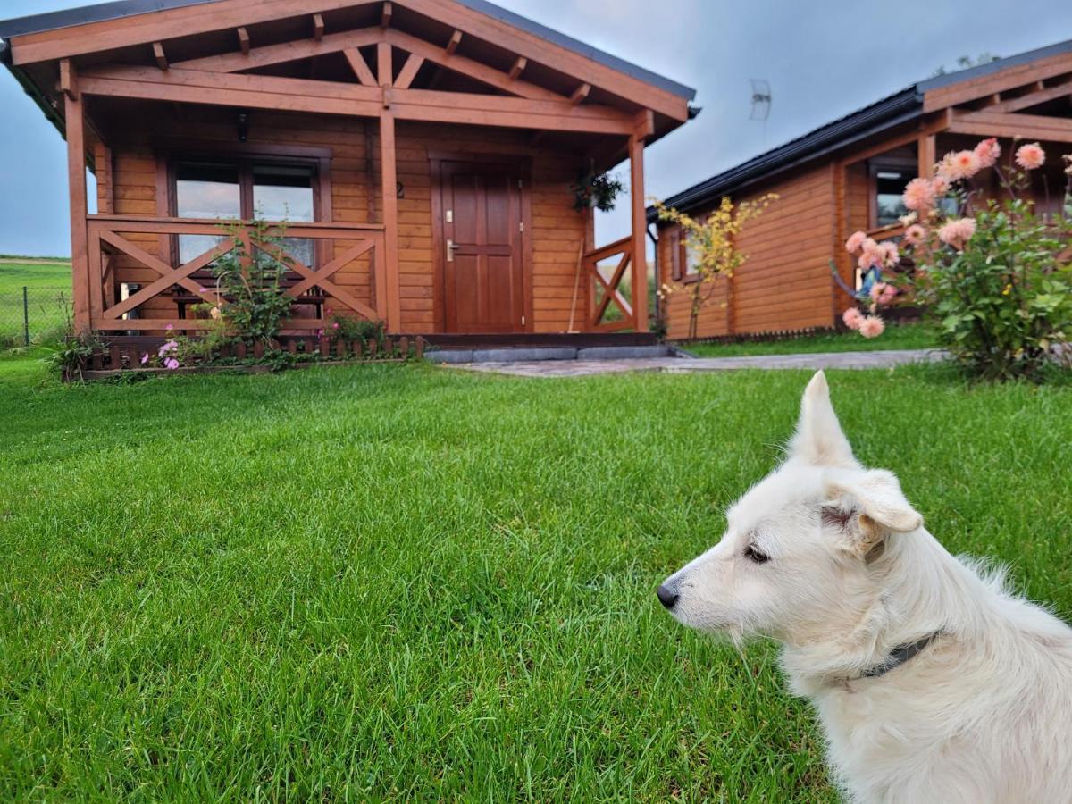Domki Pod Lasem Villa Rokiciny Podhalanskie Екстериор снимка