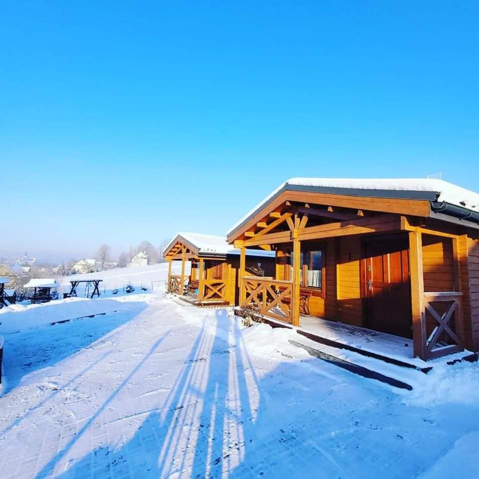 Domki Pod Lasem Villa Rokiciny Podhalanskie Екстериор снимка